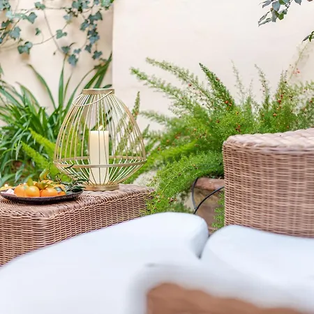 Terrace Loft Colosseum