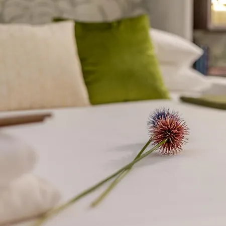 Terrace Loft Colosseum Apartamento Roma